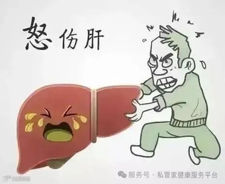 情绪五毒-怒伤肝_肝气_疾病_人体