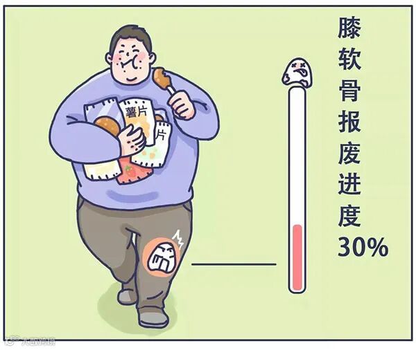 李雪芮汪鑫均因膝伤退役，教你3招保护膝盖 - 爱羽客羽毛球网