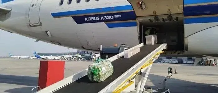 全国首单跨境电商B2B直接出口活体宠物在沈阳通关