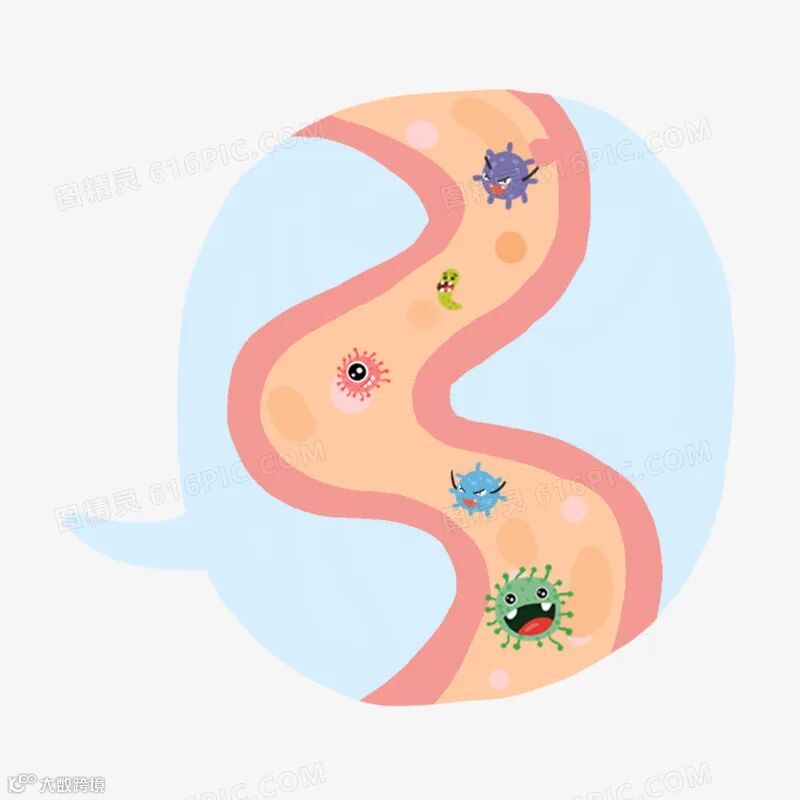 卡通手绘肠道系统元素图片免费下载_PNG素材_编号z62i85rok_图精灵