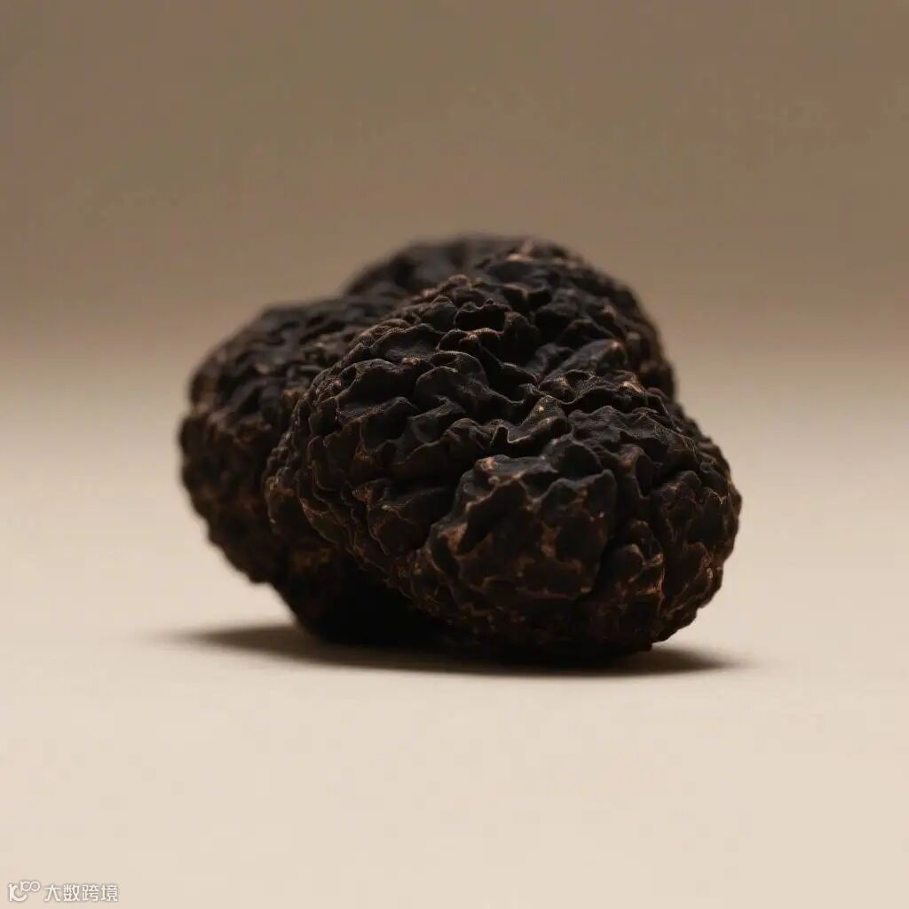 黑松露美食章节配图左侧