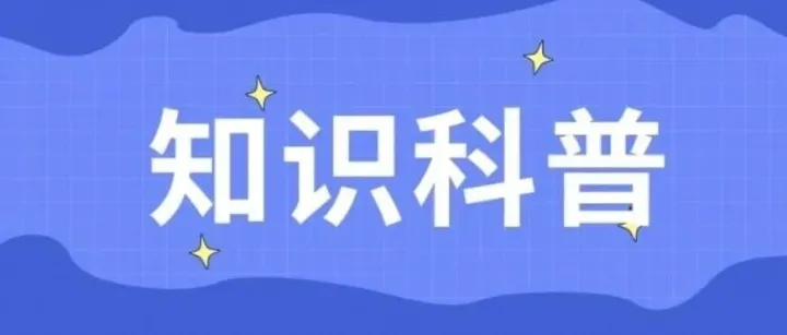 踏春好物归类指南