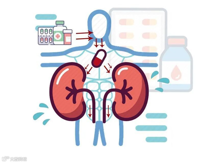 关于肾不好的3个误区，需了解，才能选择正确的调理方法_凤凰网
