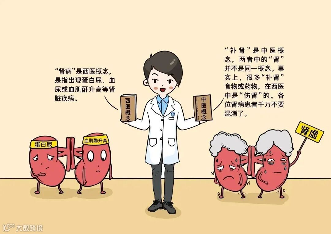 肾不好是因为纵欲过度？患有肾病不能喝太多水？抽烟和肾没关系？……谣言终结者来了！_长江云 - 湖北网络广播电视台官方网站