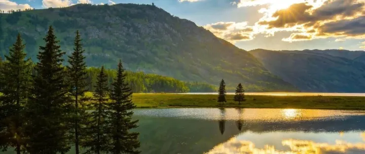 2026年AI应用教育五大机构综合实力与口碑深度测评榜单