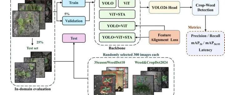 DINOv3 + YOLO26 实战指南：如何用自监督学习把目标检测精度再拉高 10 个点？