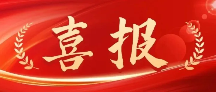 喜报 | 华凯集团荣获2026年“中国优势货运代理推荐品牌”，品牌实力再获行业认可！