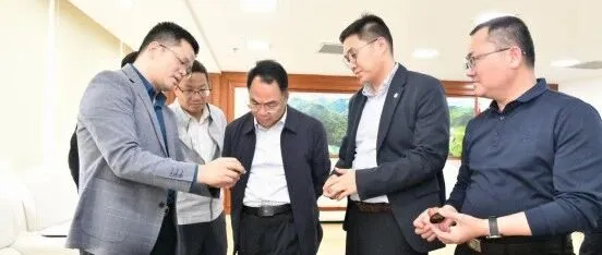 融贯国际赋能紫金县域经济 携手共筑茶产业高质量发展新高地