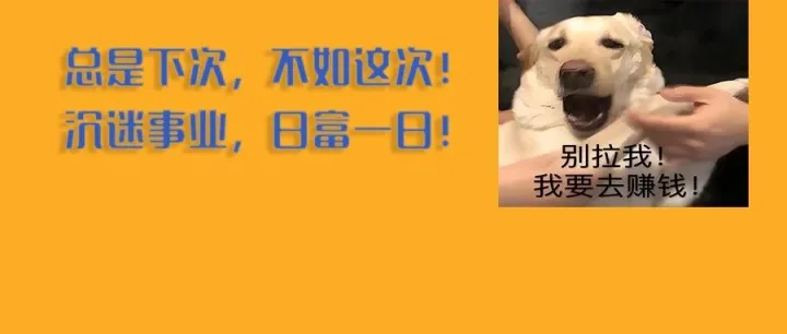 【项目征集】2024年玉树创新园投融资路演对接会活动