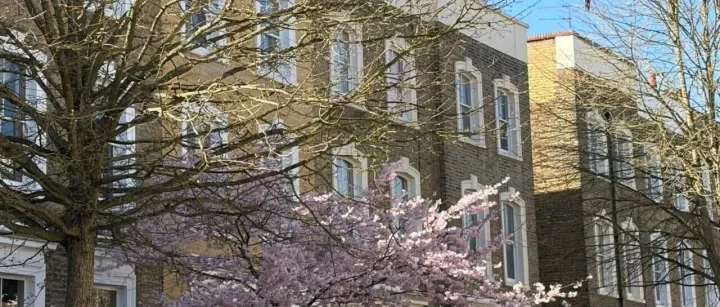 Tk跨境直播保姆级教程