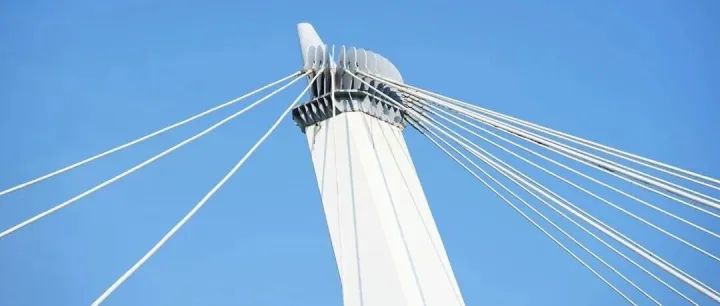 协会牵线搭桥：聚焦商品分类「咖啡豆」代理报关企业，助力企业高效对接（第九期）