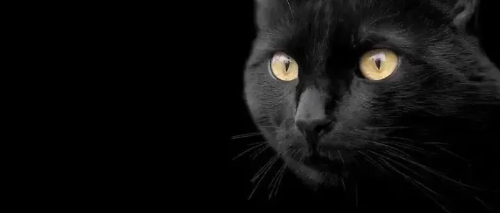 中国亚马逊卖家被‘ 炮轰 ’！