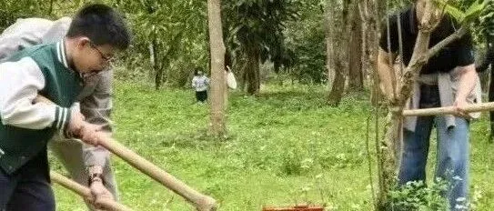 良凤江春日植树研学 植绿护绿·拓印自然