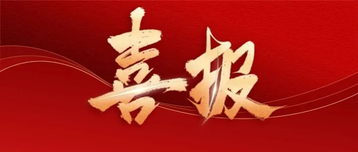 中技能源获授牌成为湖南省公共机构节能协会副会长单位——共筑节能平台，赋能公共机构绿色转型