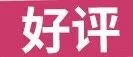 【宠物智能客户好评】Callnovo英语客服获客户好评：专业高效与卓越执行力，项目成果远超预期！