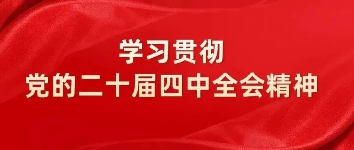中建材投资领导班子成员宣讲党的二十届四中全会精神