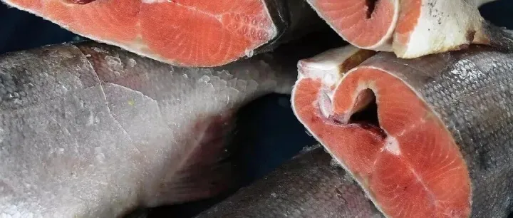 【中俄经贸】俄农产品出口中心：一季度俄罗斯对华出口鱼类和海产品增长51%