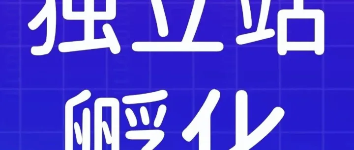【海外独立站孵化】不懂建站？流量难获？转化低下？手把手带你全链路打通独立站