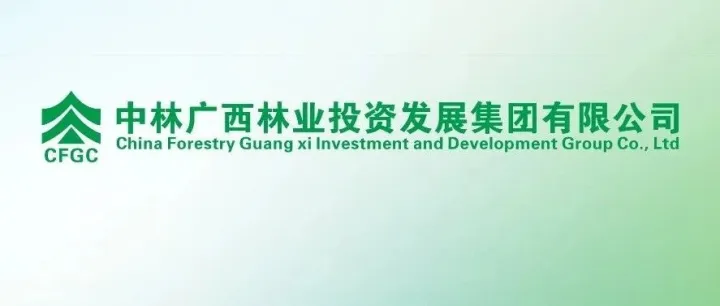 周刚专题调研中林广西国储林“两重”项目