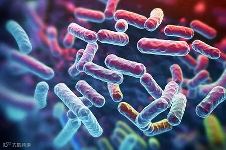 乳酸菌图片_乳酸菌素材_乳酸菌高清图片_摄图网图片下载