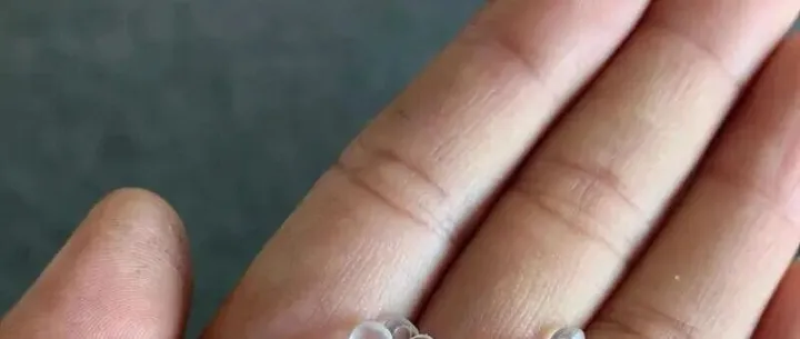 吉林石化自研高端乙丙橡胶实现首季旺销