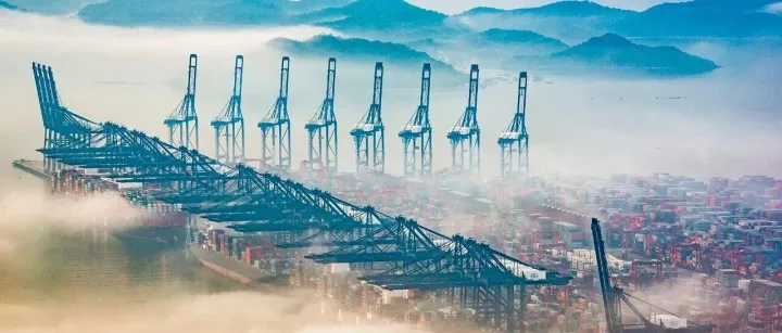 盐田港（000088）2025年吞吐量下降净利反增