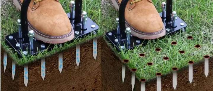 TikTok 卖家一战封神，靠一张草坪狂揽320万