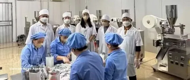 越南的下一个千亿产业，不是芯片！是……