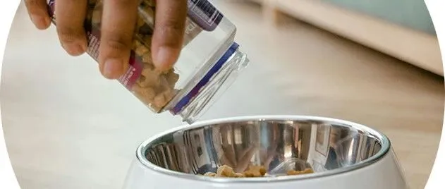 中宠股份营收增长39%但净利下滑20%，从代工走向品牌的代价？