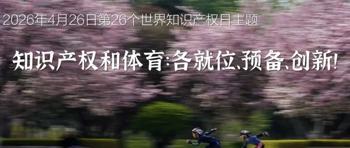 非权利人的知识产权海关保护救济途径（第26个世界知识产权日）