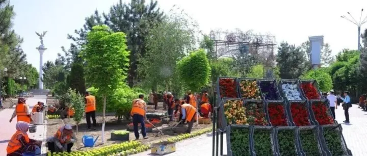 纳曼干国际花卉节将于5月24日开始举办 有望冲击吉尼斯世界记录