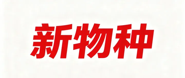 亏损4.8亿竟估值32亿美金？全球最大的B2B跨境支付新物种XTransfer冲击上市