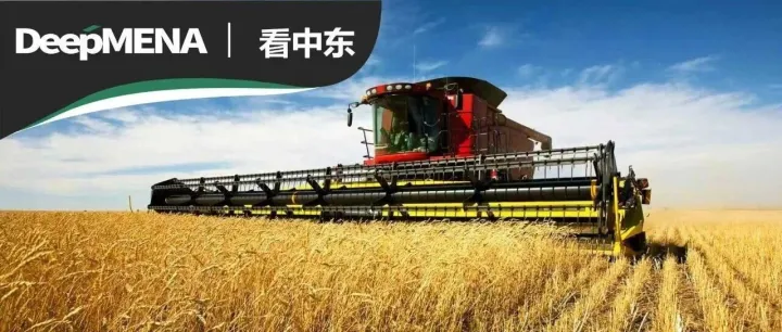 霍尔木兹烧到粮仓：中东战火如何改写全球粮食版图，中国的窗口在哪里？