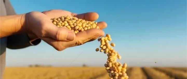 巴西农业部带队赴华，协商大豆检验事宜