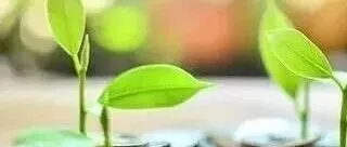 深度关注 | 俄罗斯农业三年大洗牌：近3000家企业离场，行业拐点已至？