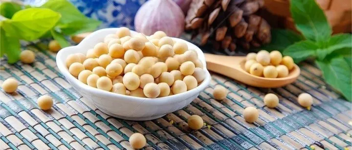 巴西大豆种植业现状概述