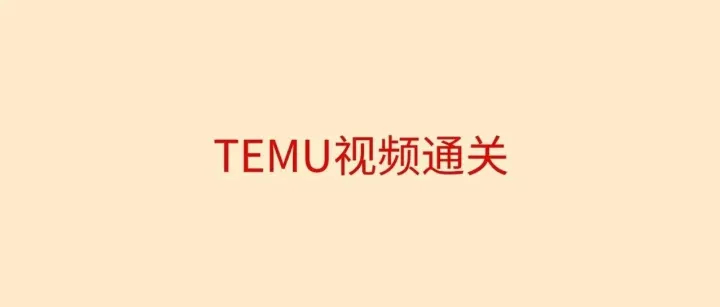 TEMU对公+视频验证全解析：一套能跑通的合规路径
