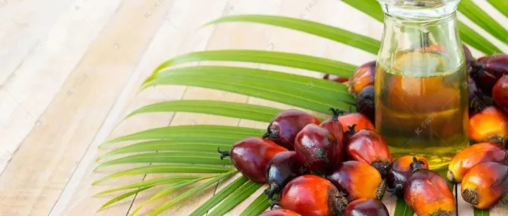 MPOB报告：出口增量明显，库存降至近七个月低位