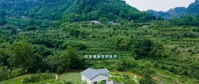 【竹产业之城】四川眉山（青神）：竹浆纸产能47万吨+竹编远销50国，这座小城有多强？