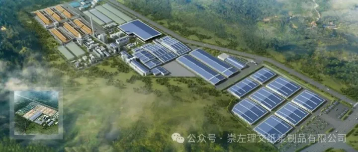 <em>崇左</em>理文竹木最新收购价格（2026-03-11执行）