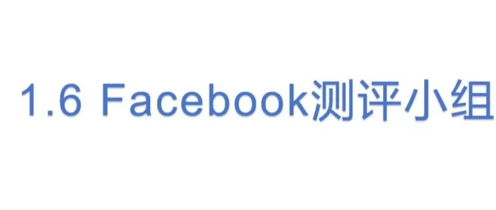 <em>Facebook</em>测评小组