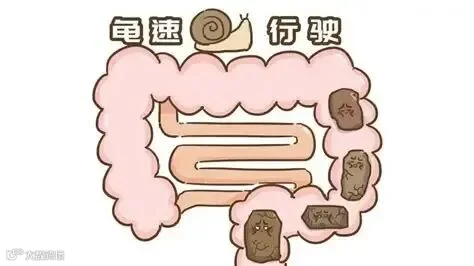长沙东大肛肠医院：便秘如何进行自我调养？|便秘|粪便|肠道_新浪新闻