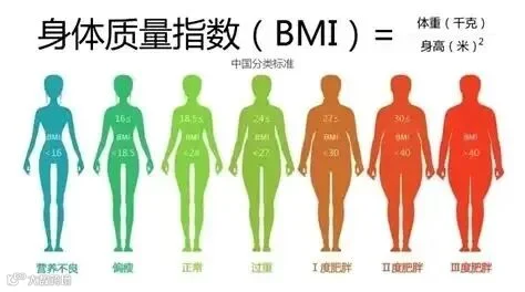 2025年世界肥胖日的主题为“改变系统，更健康的生活”