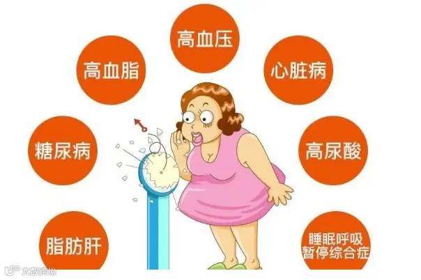 学科动态丨管理体重正当时，贵中医大二附院中西医结合营养减重助您享“瘦”健康！-贵州中医药大学第二附属医院|贵州省中西医结合医院|贵州荣誉军人 ...