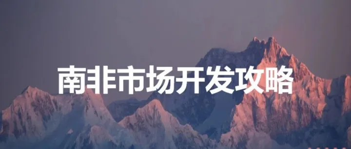 南非市场开发攻略