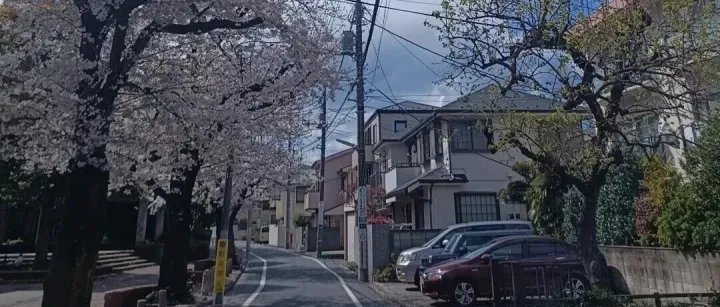 日本梦碎！40岁彻底续签无望了...