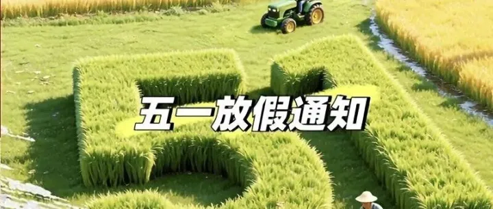 劳动节，致信准的每一位同事！