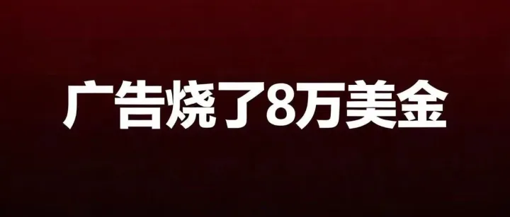 去年广告烧了8万美金，我总结出这套打法