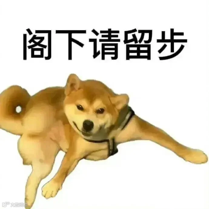 表情包 | 阁下请留步 拿图点赞、吱声
