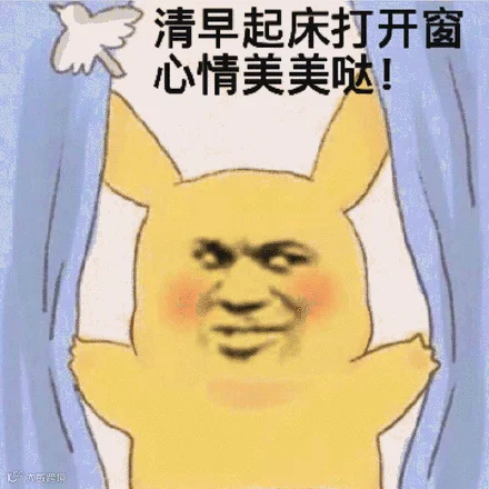 清早起床打开窗心情美美哒表情包图片gif动图 - 求表情网,斗图从此不求人!
